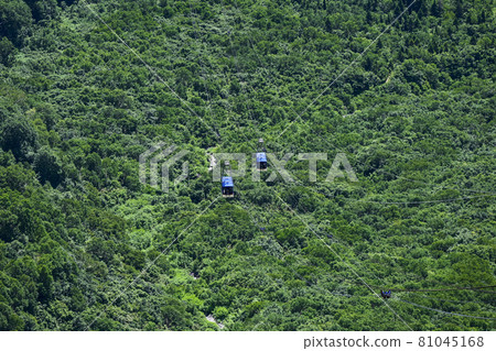 從大觀坊站看到的立山索道 從大觀坊站看到的立山索道 81045168