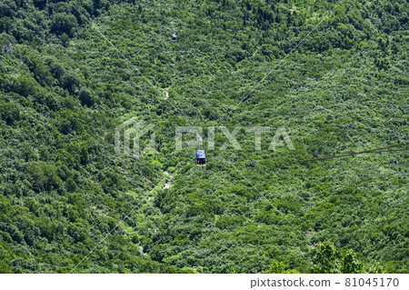 從大觀坊站看到的立山索道 從大觀坊站看到的立山索道 81045170