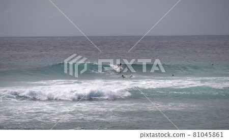 Surfer riding and turning with spray on blue ocean wave, surfing ocean lifestyle, extreme sports. Big waves with white foam in Hawaii. Pacific Ocean 81045861