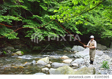 垂釣者在美麗的山間溪流中享受飛釣 81045905