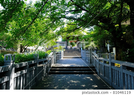 泉岳寺：通往義志赤子墓地的道路 81046119