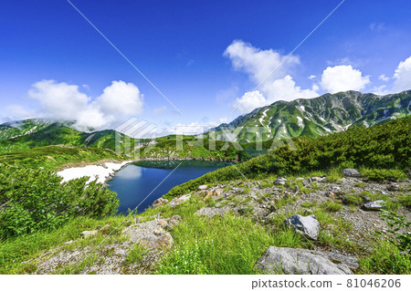 Only in the summer the pond 81046206