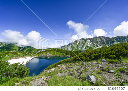 Only in the summer the pond Only in the summer the pond 81046207