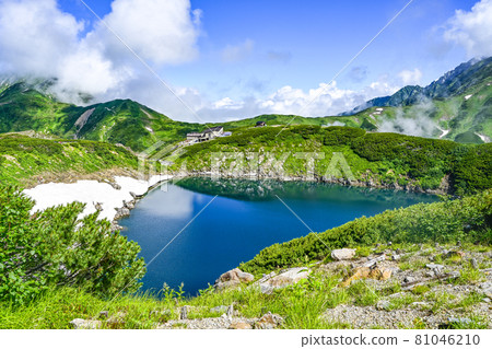 Only in the summer the pond 81046210