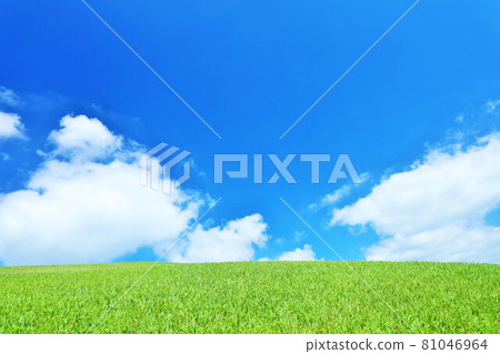 Summer blue sky and fresh green meadow landscape 81046964