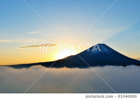 The dawn of the sea of clouds and Mt. Fuji 81046990