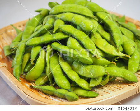 毛豆 81047087