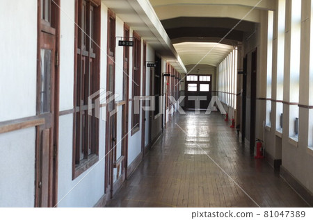 primary school primary school 81047389