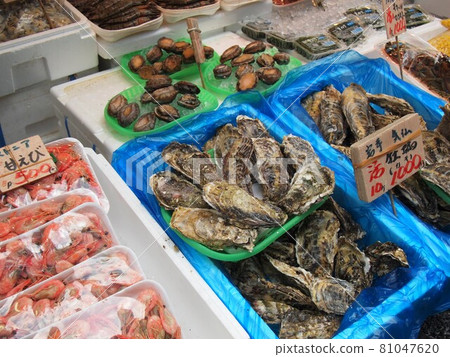 一家魚店 81047620