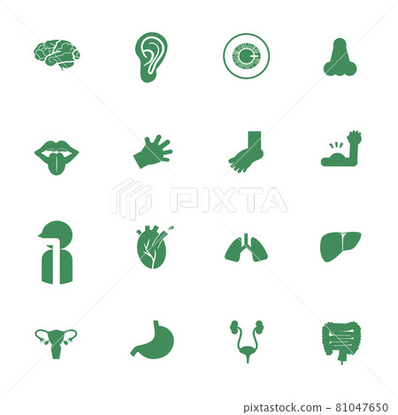 icon, set, entrail 81047650