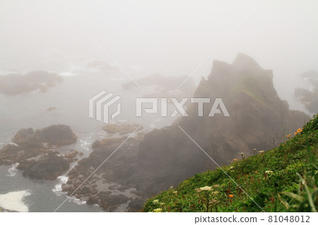 Cape Erimo of Mist Cape Erimo of Mist 81048012