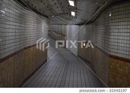 大阪市西區 81048197