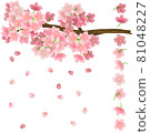 Sakura branch 81048227