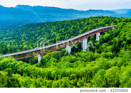 Matsumi Ohashi Bridge on the Nukabira National Highway and the mountain massif of the Daisetsu Mountains 81050804