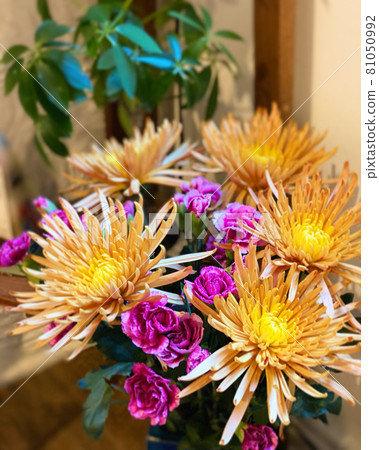 菊花和噴霧康乃馨花束 81050992