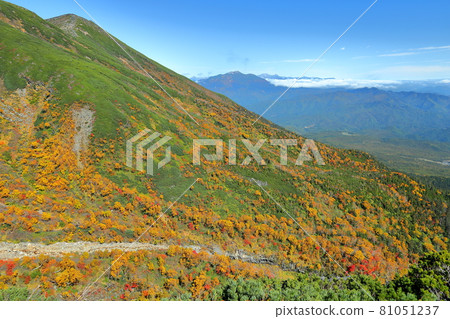 長野縣木曾郡木曾町,從禦嶽山登山道看紅葉與群山 長野縣木曾郡木曾町,從禦嶽山登山道看紅葉與群山 81051237