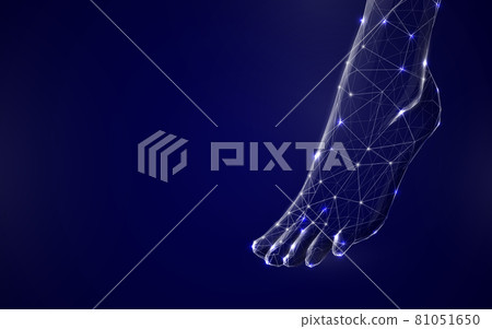 3d Human feet from lines, triangles and particle style design. Illustration vector 81051650