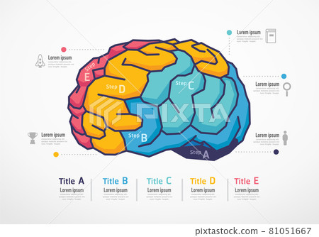 Brain resources infographic. Business education concept. Vector slide template. Creative illustration. Brain resources infographic. Business education concept. Vector slide template. Creative illustration. 81051667