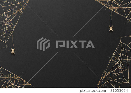 Halloween spider spider gold leaf gold spider spider web background frame texture Halloween spider spider gold leaf gold spider spider web background frame texture 81055034