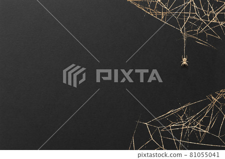 Halloween spider spider gold leaf gold spider spider web background frame texture 81055041