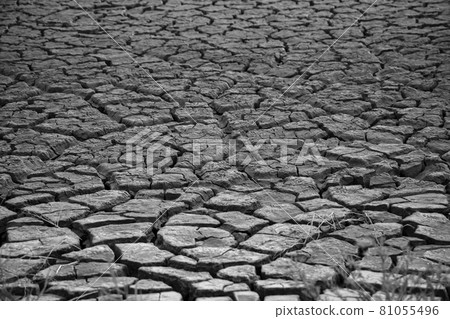 Land cracked by drought 81055496