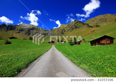 Swiss mountain landscape 81055506