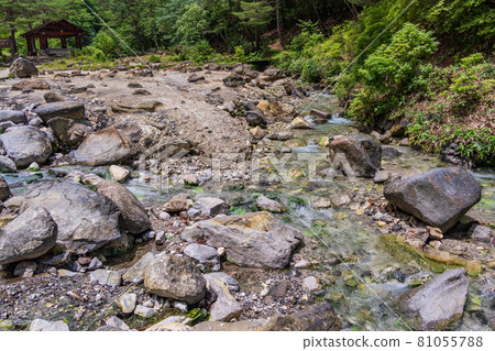 (Gunma Prefecture) Kusatsu Onsen / Sainokawara Park 81055788