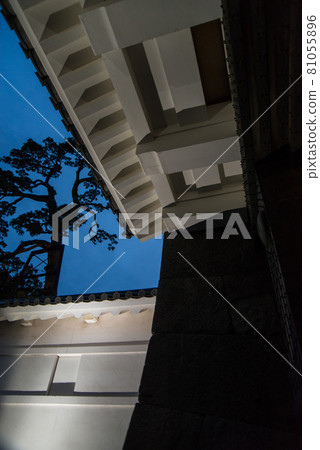 "Odawara Castle at dusk" Around 6:40 pm With the start of night lighting, a white-walled castle tower and a heavy Tokiwa gate emerged. 81055896