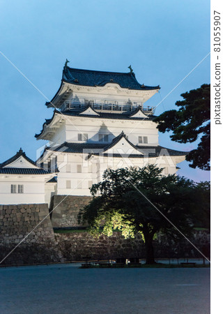 "Odawara Castle at dusk" Around 6:40 pm With the start of night lighting, a white-walled castle tower and a heavy Tokiwa gate emerged. "Odawara Castle at dusk" Around 6:40 pm With the start of night lighting, a white-walled castle tower and a heavy Tokiwa gate emerged. 81055907