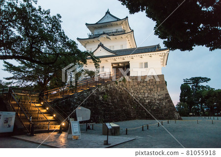 "Odawara Castle at dusk" Around 6:40 pm With the start of night lighting, a white-walled castle tower and a heavy Tokiwa gate emerged. "Odawara Castle at dusk" Around 6:40 pm With the start of night lighting, a white-walled castle tower and a heavy Tokiwa gate emerged. 81055918
