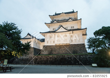 "Odawara Castle at dusk" Around 6:40 pm With the start of night lighting, a white-walled castle tower and a heavy Tokiwa gate emerged. 81055925