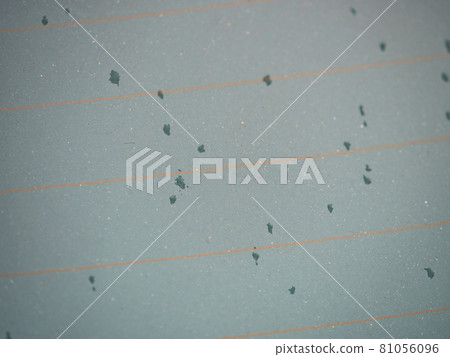 Drops of water on rear car window, heating stripes visible. 81056096