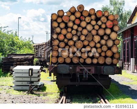 Timber transport by trail by railways. The train car stands in a depot Timber transport by trail by railways. The train car stands in a depot 81056111