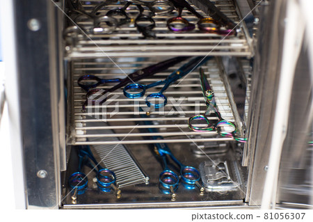 Cat and Pet grooming in beauty salon. Cat and Pet grooming in beauty salon. 81056307