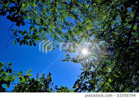 雨季的天空 雨季的天空 81056794