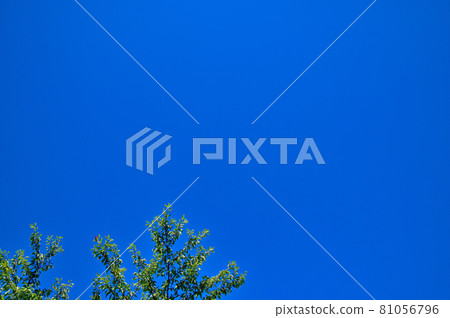 雨季的天空 81056796