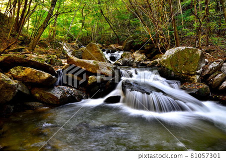 Takigawa Valley 81057301