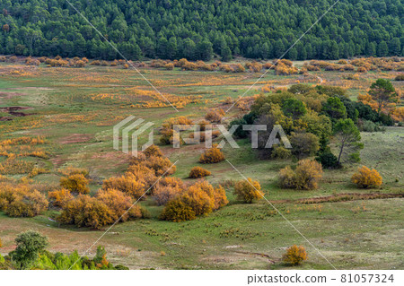 Landscape near Tranco de Beas reservoir in Sierra de Cazorla, Andalusia, Spain Landscape near Tranco de Beas reservoir in Sierra de Cazorla, Andalusia, Spain 81057324