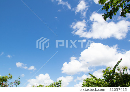 Summer sky, clouds and trees Summer sky, clouds and trees 81057415