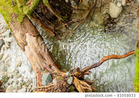 In the mountains after heavy rain, the trace of a muddy stream Kamikochi In the mountains after heavy rain, the trace of a muddy stream Kamikochi 81058033