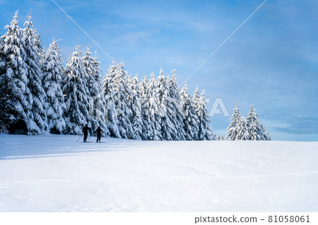 Cross country skiing track on sunny day 81058061