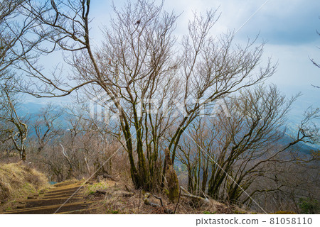 Ridge road from Yabitsu Pass to Mt. Oyama Ridge road from Yabitsu Pass to Mt. Oyama 81058110
