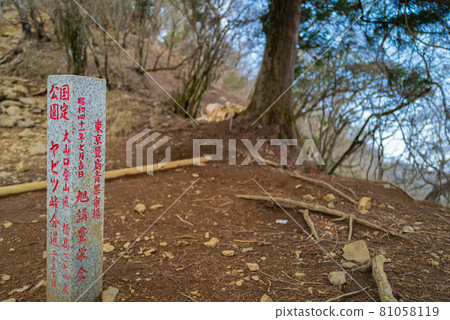 Yabitsu Pass到小山山的山脊道路 81058119