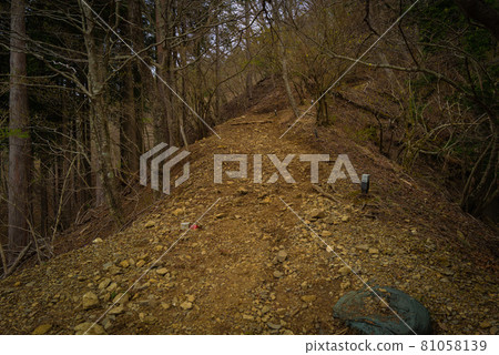 Yabitsu Pass到小山山的山脊道路 Yabitsu Pass到小山山的山脊道路 81058139