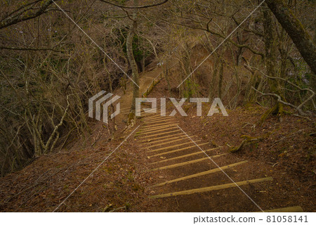 Ridge road from Yabitsu Pass to Mt. Oyama 81058141