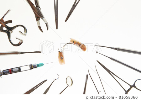 Dental equipment Dental image 81058360