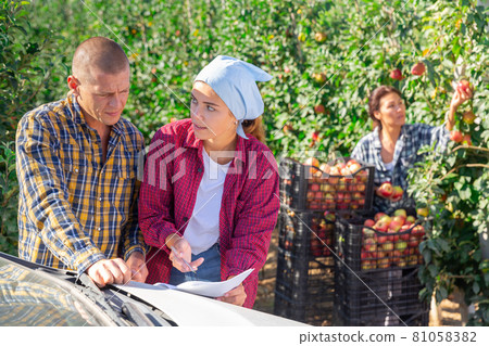 Man and young woman talking about crop of apples Man and young woman talking about crop of apples 81058382