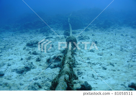 Adventure to the underwater world 81058511