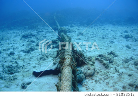 Adventure to the underwater world 81058512