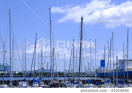 神奈川縣橫濱市根岸灣的風景 神奈川縣橫濱市根岸灣的風景 81058698